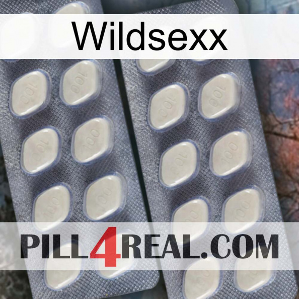 Wildsexx 07